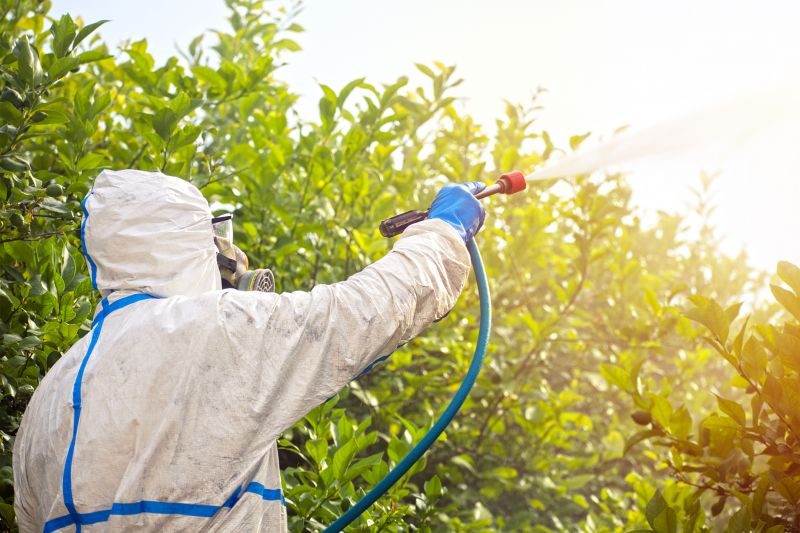 Pest Fumigation Service in Katy, TX
