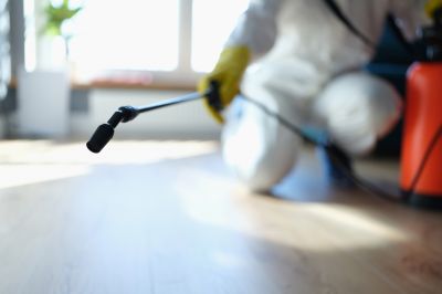 Pest Fumigation Service in Tampa, FL