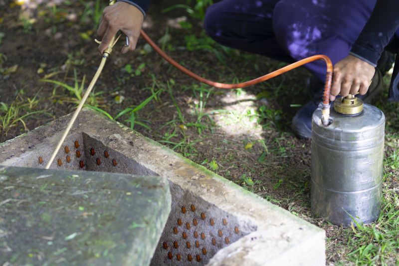 Pest Fumigation Service in Asheville, NC