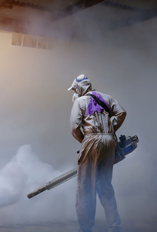 Spider Fumigation Service in San Jose, CA