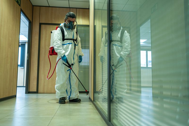 Spider Fumigation Service in San Antonio, TX