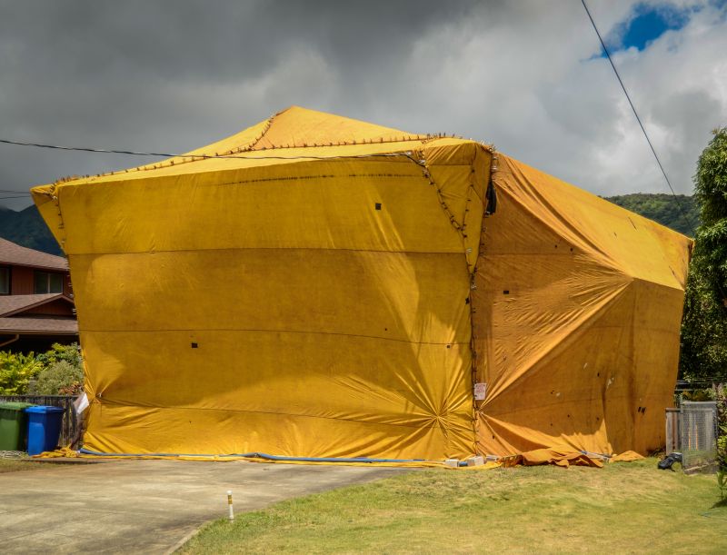 Termite Tenting in Fredericksburg, VA